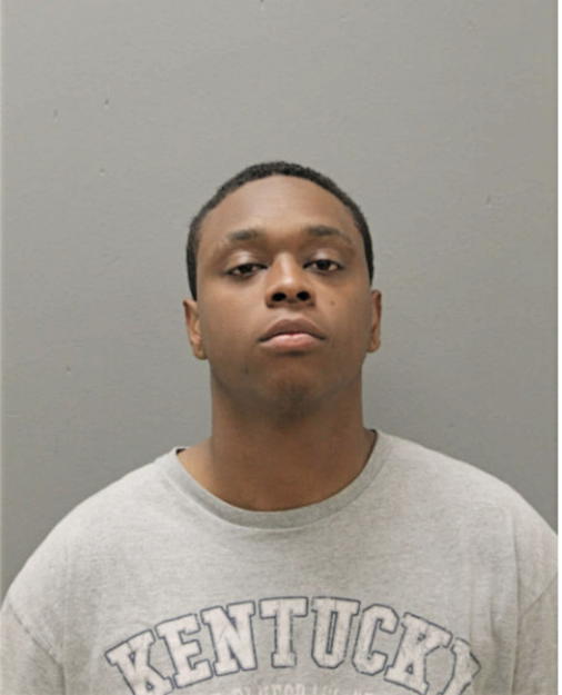 JOEL M GIBSON, Cook County, Illinois