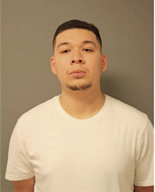 REYES K GUZMAN, Cook County, Illinois