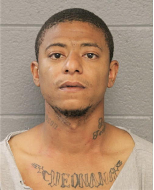 NORMAN D HINES, Cook County, Illinois