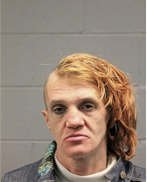 JULIE KING, Cook County, Illinois