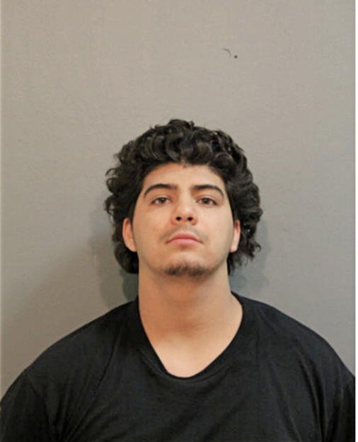 BRANDON LUNA, Cook County, Illinois