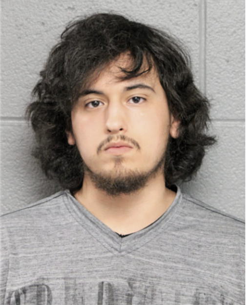 JOEY MARTINEZ, Cook County, Illinois