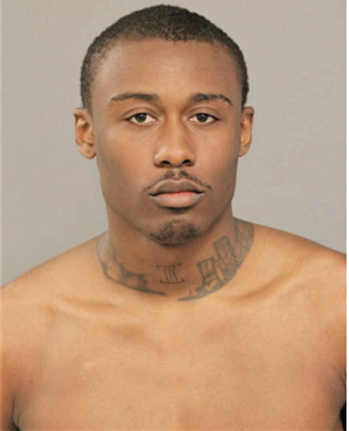 DARIEN T MITCHELL, Cook County, Illinois