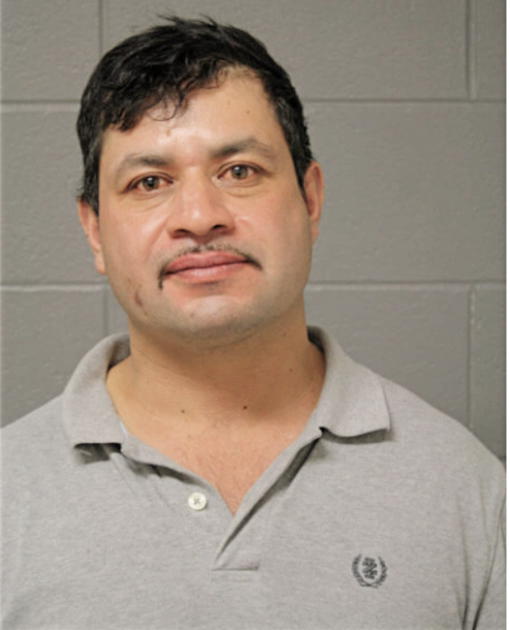 LUIS V NAVARRO, Cook County, Illinois