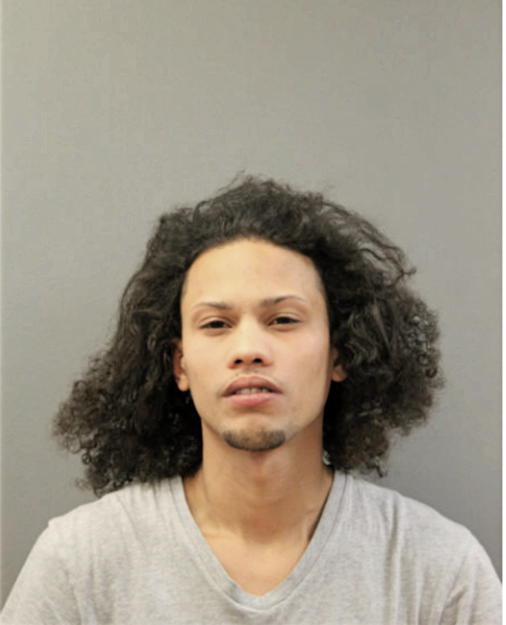 ARIEL PELLOT-BERMUDEZ, Cook County, Illinois