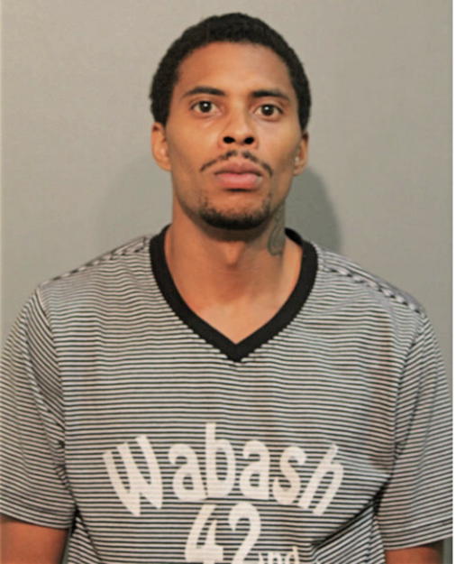 MICHAEL E RODGERS, Cook County, Illinois