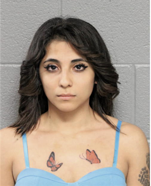 OLGA A RODRIGUEZ, Cook County, Illinois