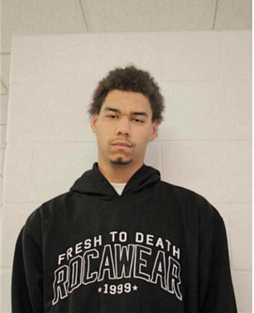 STEPHEN D SAPP, Cook County, Illinois