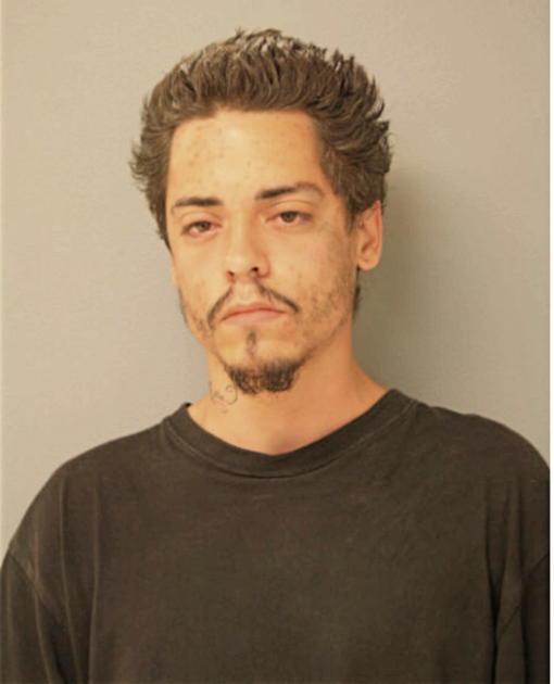 ROBERT M SCHWAMLEIN, Cook County, Illinois