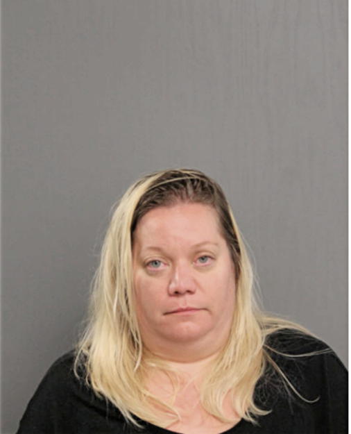 TERESA A SINKS, Cook County, Illinois