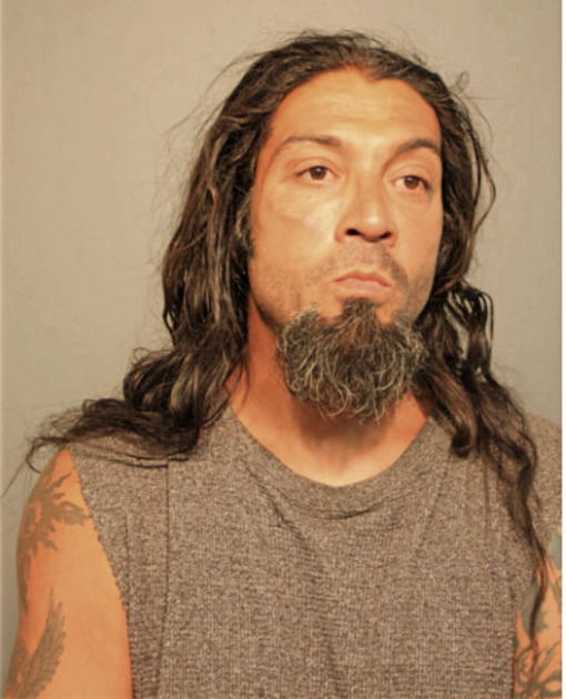 MICHAEL A VENTURA, Cook County, Illinois