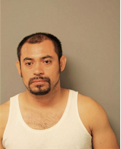 DIAZ VICENTE, Cook County, Illinois