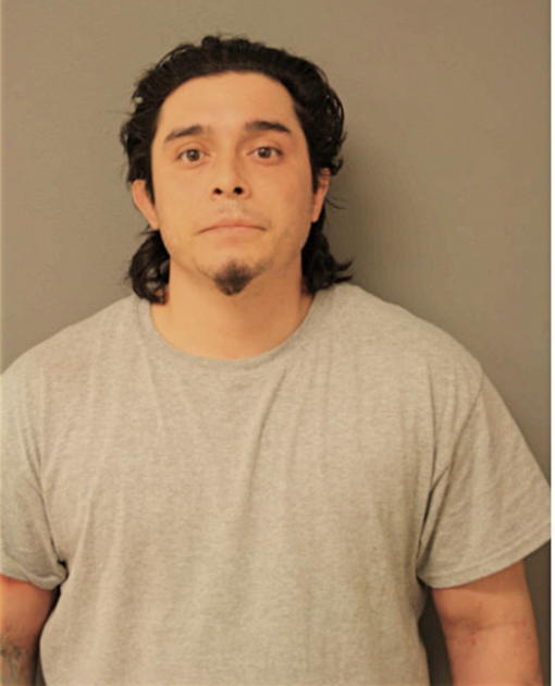FABIAN VILLAGOMEZ, Cook County, Illinois