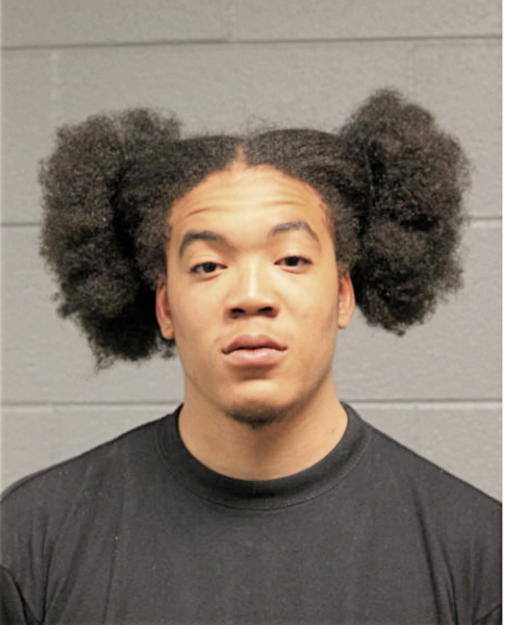 CHARLES R WILSON, Cook County, Illinois