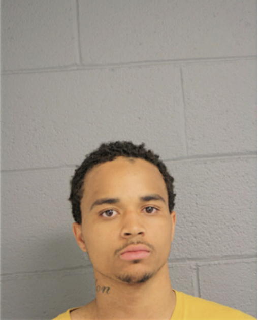 TERRELL D WYATT, Cook County, Illinois