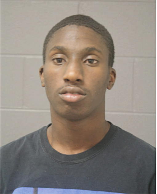 JERMAINE S YOUNG, Cook County, Illinois