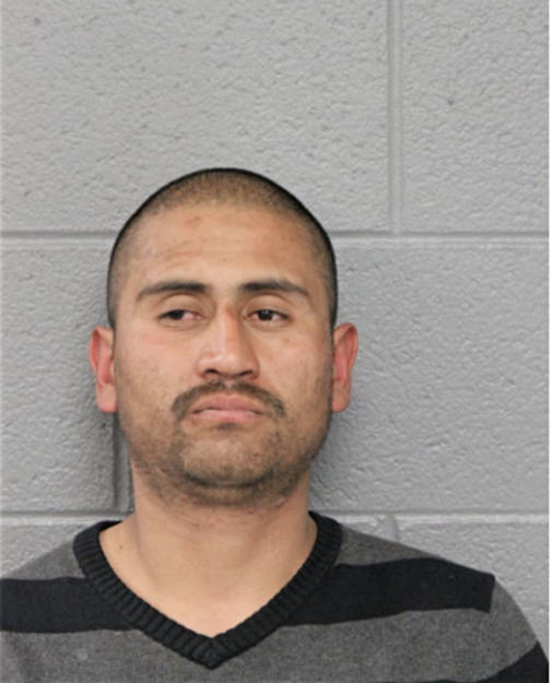 IGNACIO BAHENA, Cook County, Illinois