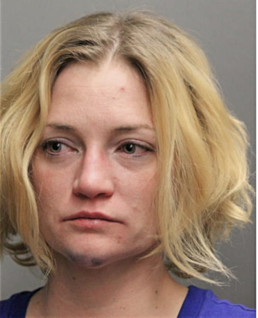 ELIZABETH KELLY BLANCHFIELD, Cook County, Illinois