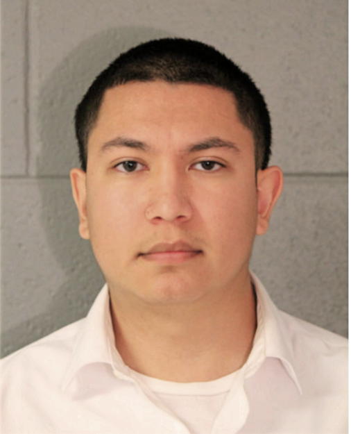 RUBEN A CARILLO, Cook County, Illinois
