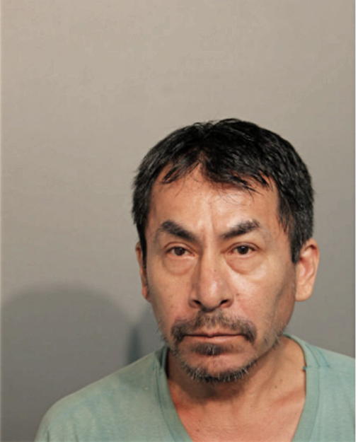 PINOPO T CASTRO, Cook County, Illinois