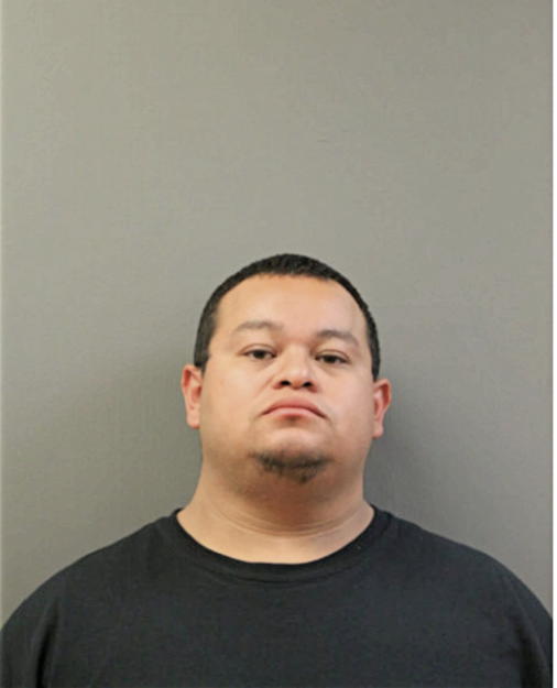 SAUL OMAR FARFAN, Cook County, Illinois