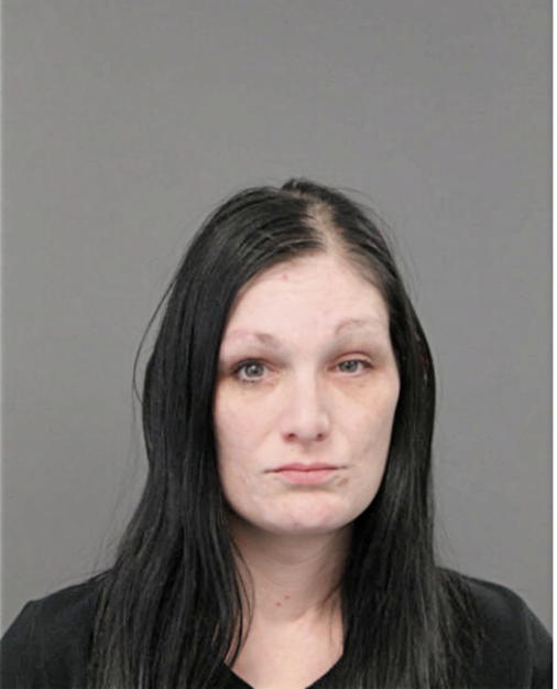 DANA J FRITSCH, Cook County, Illinois