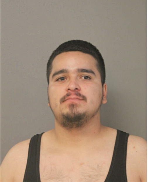 MAYCOOL L GARFIAS, Cook County, Illinois