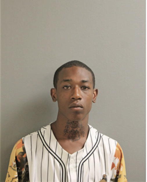 ASHANTE GOINS, Cook County, Illinois