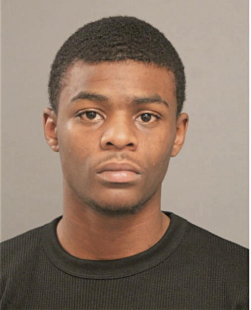 PETER L HARRIS, Cook County, Illinois