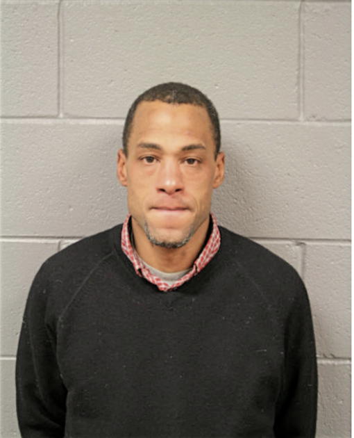 MICHAEL A JOHNSON, Cook County, Illinois