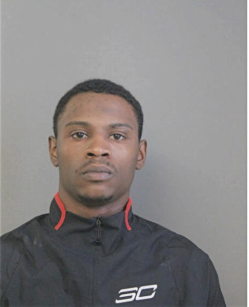 RYEN A JONES, Cook County, Illinois