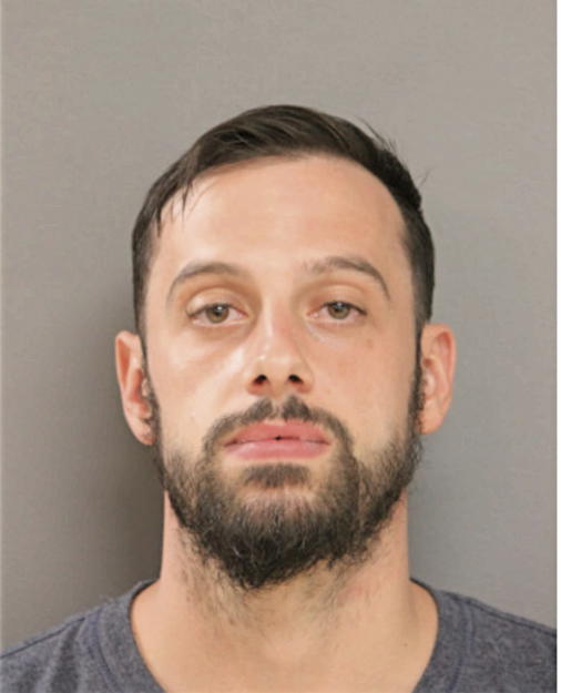 LUKE D LIFONTI, Cook County, Illinois