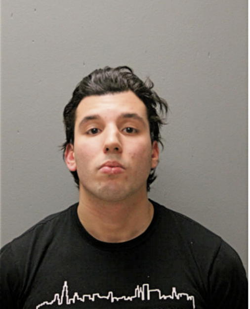 NICHOLAS M MANN, Cook County, Illinois