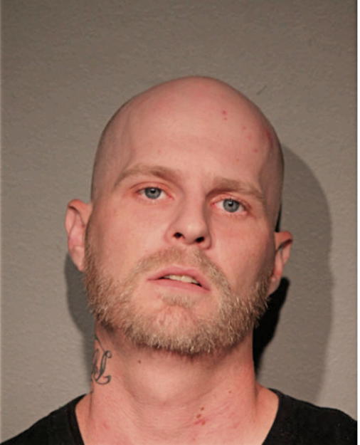 STEVEN LYNN MEADOWS, Cook County, Illinois