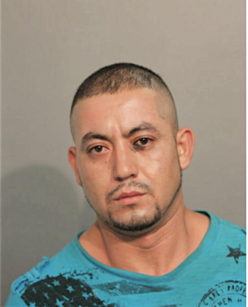 CATARINO MEDINA-ALVAREZ, Cook County, Illinois