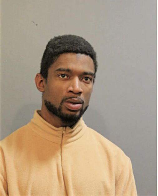 ARNELL M NETTLES, Cook County, Illinois