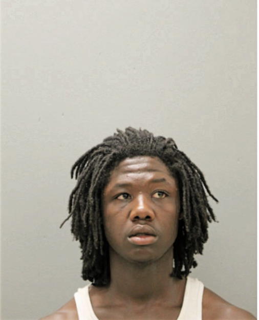 DEREK J NORMAN, Cook County, Illinois
