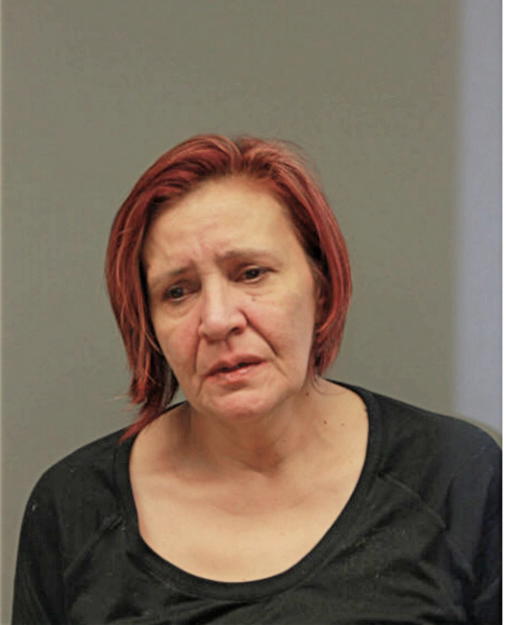 CAROLYN N PINTORAN, Cook County, Illinois