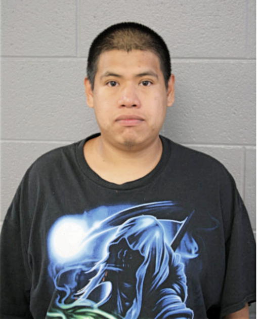 FELICIANO PUCHETA, Cook County, Illinois