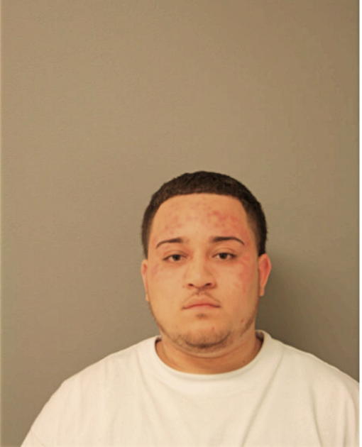 LUIS H RAMOS, Cook County, Illinois