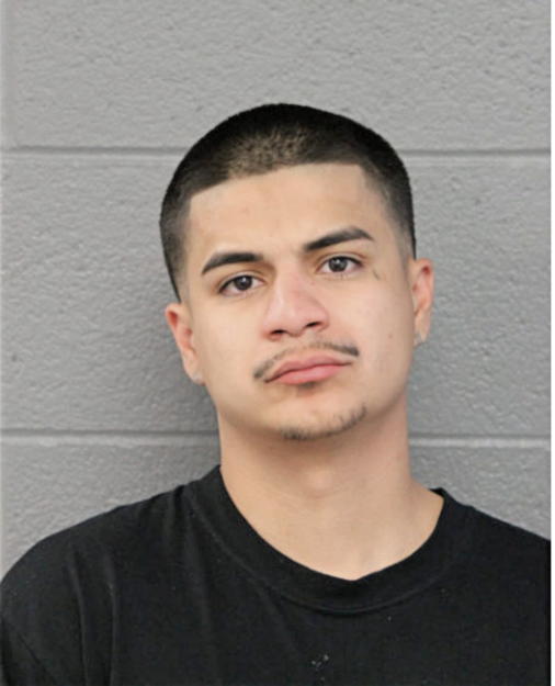 RAFAEL M RANGEL, Cook County, Illinois