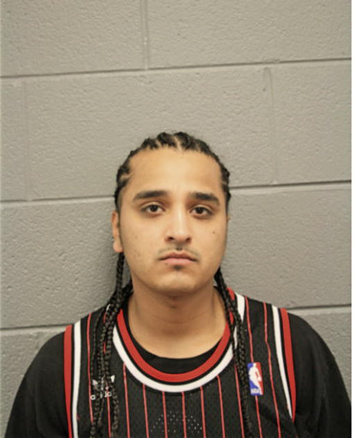 ANDREW L REYES, Cook County, Illinois