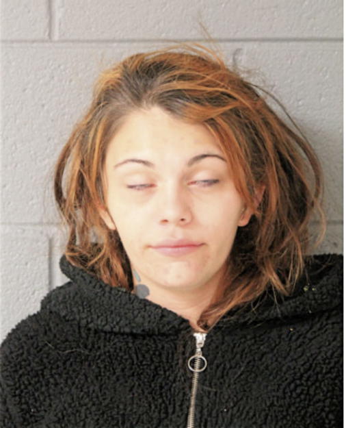 ASHLEY A SANTANA, Cook County, Illinois