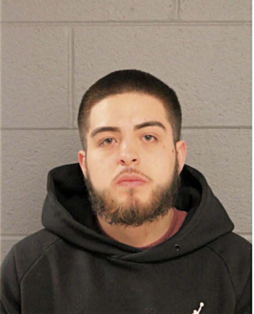 BRIAN P VILLEGAS-PULGARIN, Cook County, Illinois