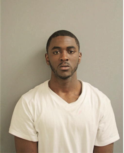 NICHOLAS T WILLIAMS, Cook County, Illinois