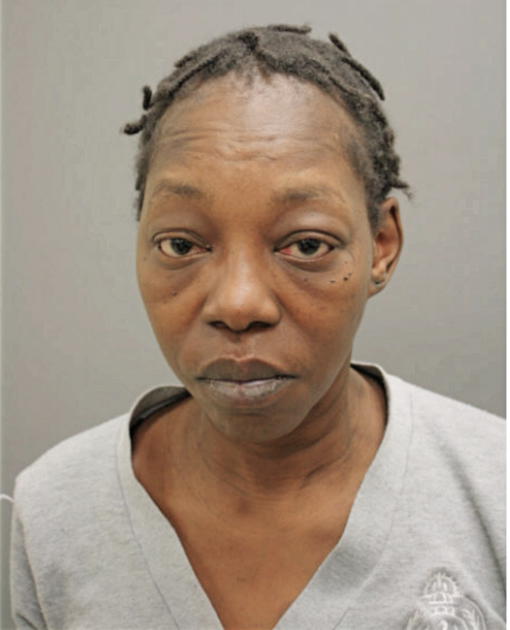 DEBRA D ALSTON, Cook County, Illinois