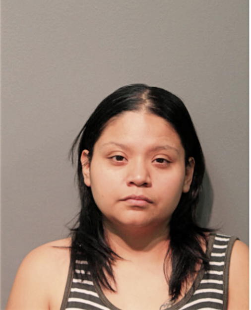 IRMA L ALVAREZ, Cook County, Illinois