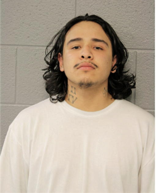 JESSE V ALVAREZ, Cook County, Illinois