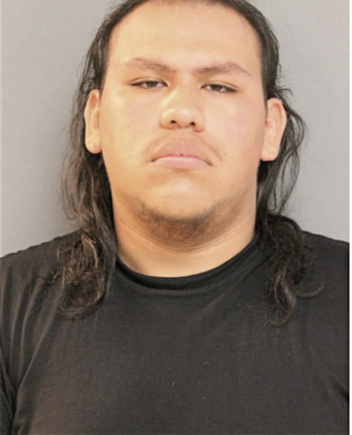 FABIO G ANAYA, Cook County, Illinois