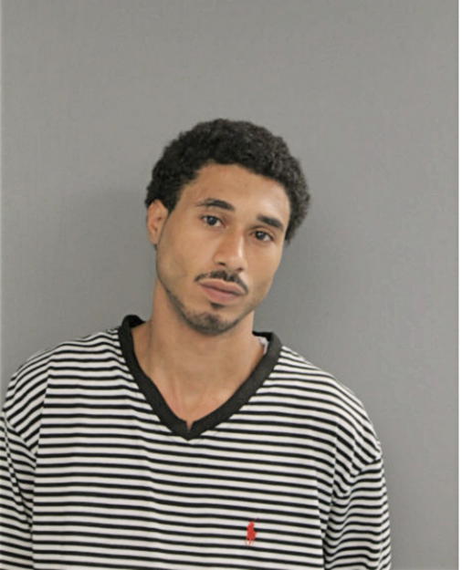 TYRONE S ANDERSON, Cook County, Illinois